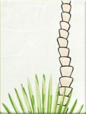 Steuler BongoBongo ствол пальмы в низкой траве декор для стен